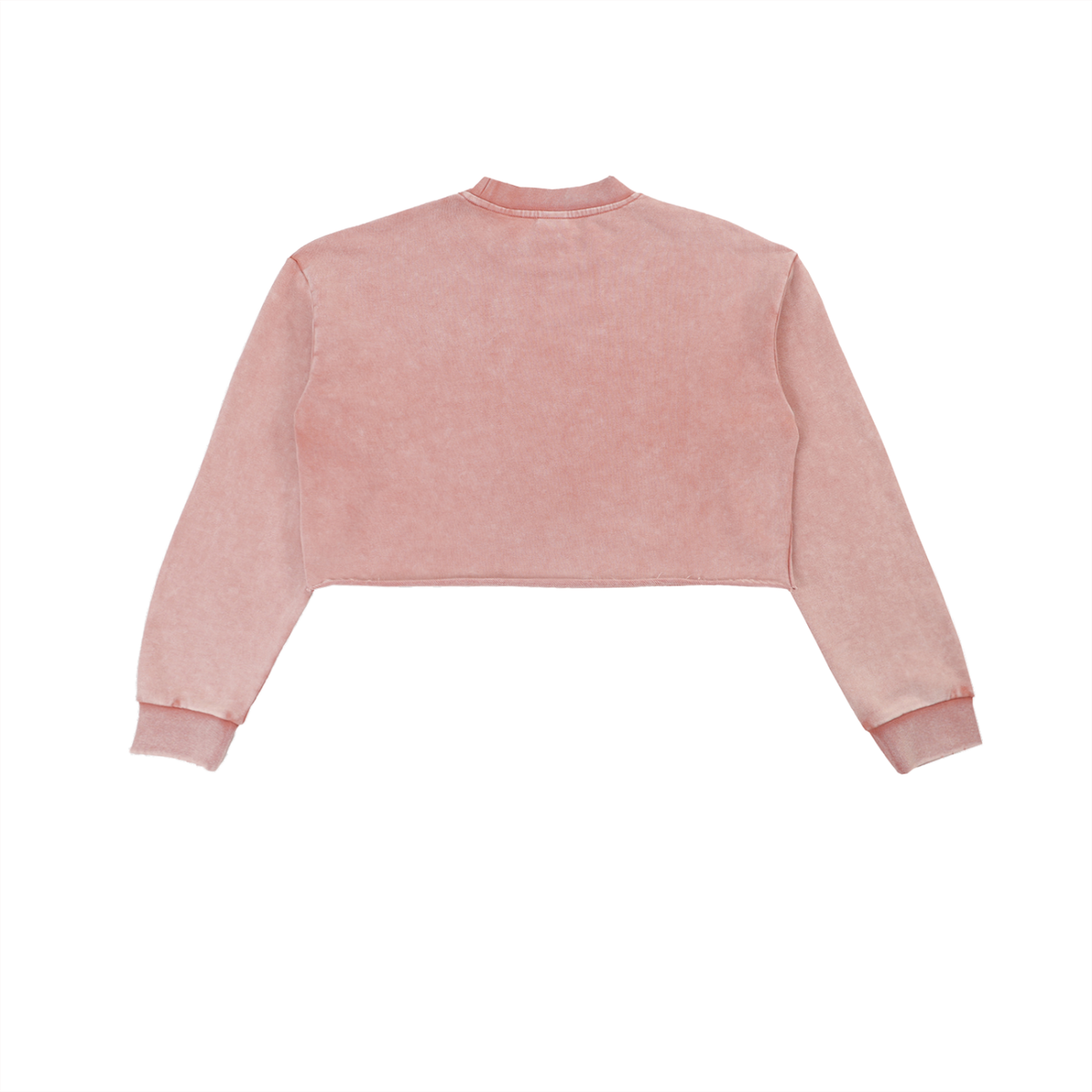 ATL MIND Frost Edge Crop Crew | product detail | TOP SECRET